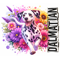 Animal Integration-DW 715